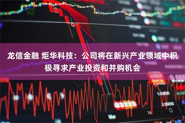 龙信金融 炬华科技：公司将在新兴产业领域中积极寻求产业投资和并购机会
