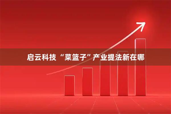 启云科技 “菜篮子”产业提法新在哪